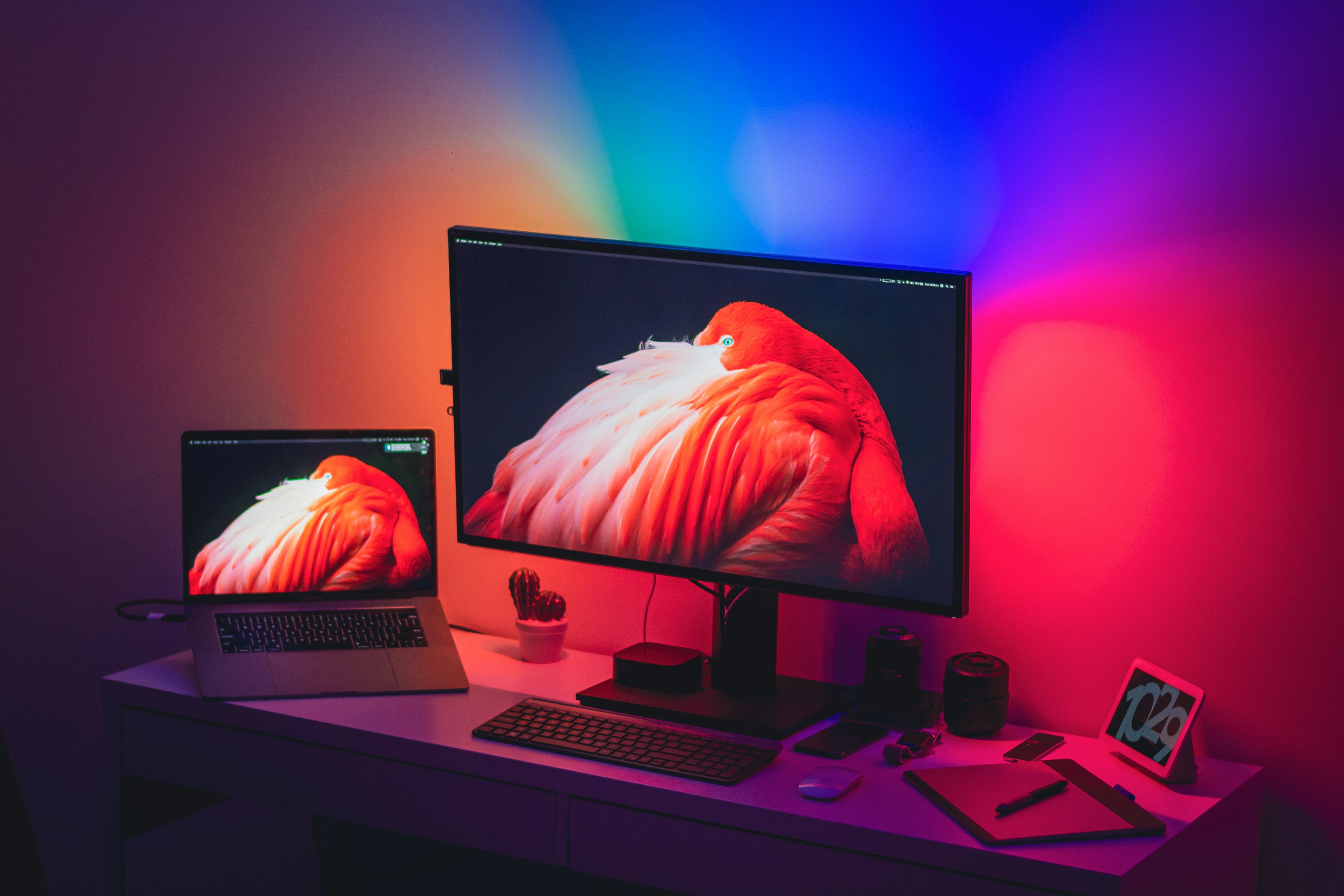 A modern desk setup with a large monitor and a laptop, both displaying a flamingo wallpaper under colorful RGB wall lighting that casts red, blue, and purple hues across the background.